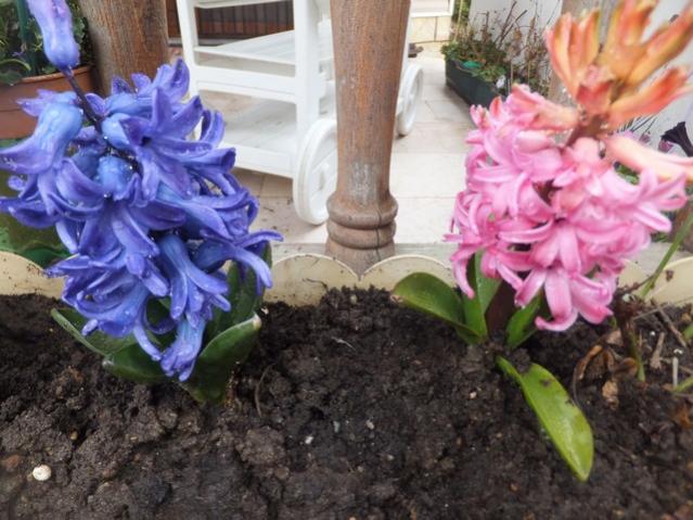 Name:  DSCF1731.jpg
Views: 471
Size:  55.1 KB