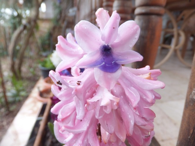 Name:  DSCF1740.jpg
Views: 466
Size:  68.9 KB