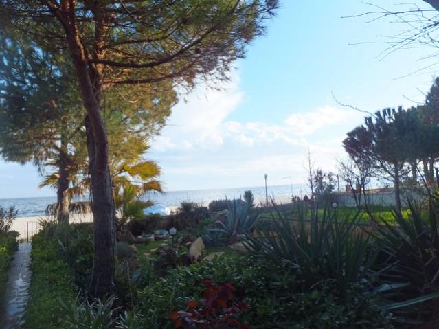 Name:  DSCF1748.jpg
Views: 461
Size:  51.5 KB