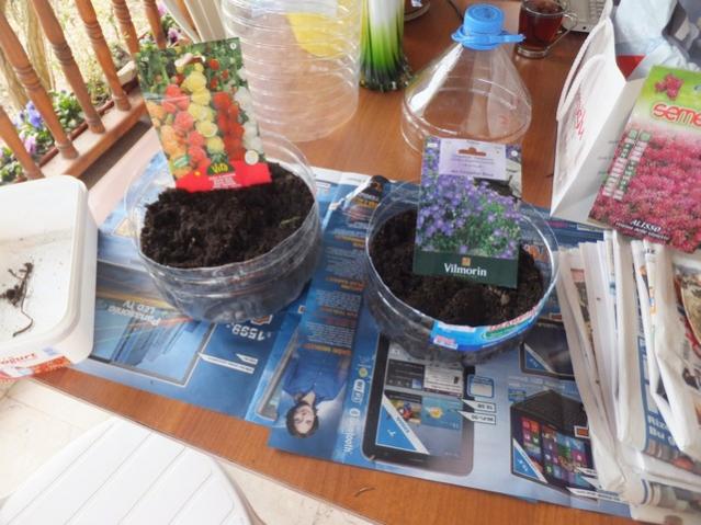 Name:  DSCF1783.jpg
Views: 430
Size:  54.9 KB