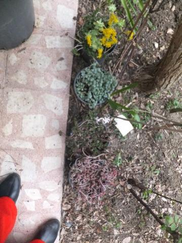 Name:  DSCF1815.jpg
Views: 533
Size:  40.1 KB