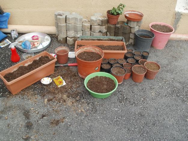Name:  P3150069a.jpg
Views: 640
Size:  70.5 KB