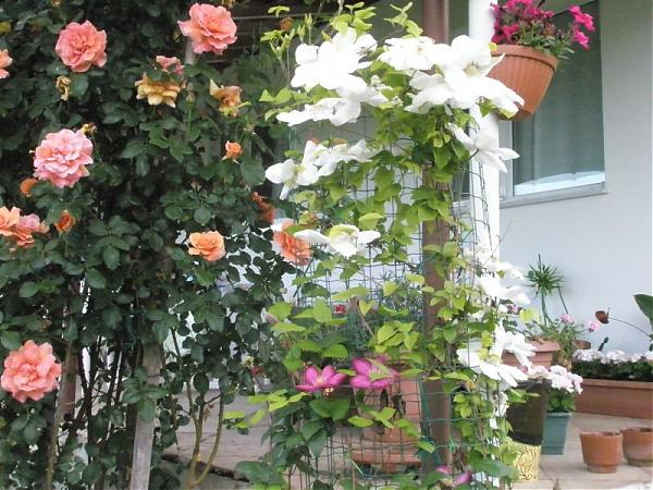 Name:  guler-Mays 2008 022.jpg
Views: 1729
Size:  66.0 KB