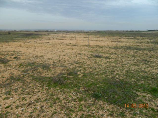 Name:  DSCN1778.jpg
Views: 1537
Size:  52.8 KB