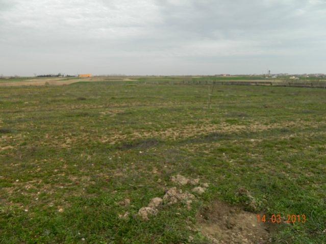 Name:  DSCN1769.jpg
Views: 1491
Size:  44.6 KB