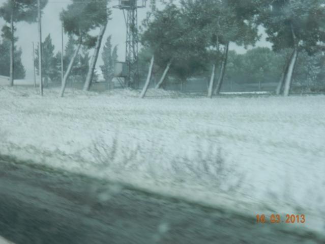 Name:  DSCN1804.jpg
Views: 1328
Size:  31.8 KB