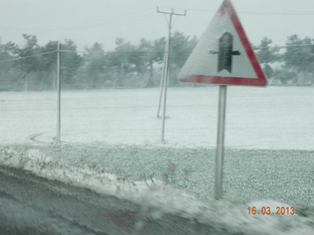 Name:  DSCN1803.jpg
Views: 1418
Size:  28.8 KB