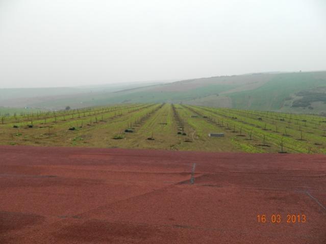 Name:  DSCN1810.jpg
Views: 1147
Size:  25.1 KB