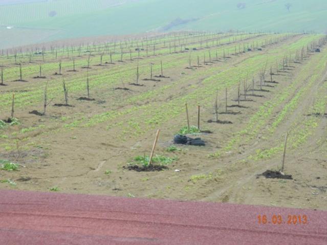 Name:  DSCN1811.jpg
Views: 1167
Size:  42.9 KB