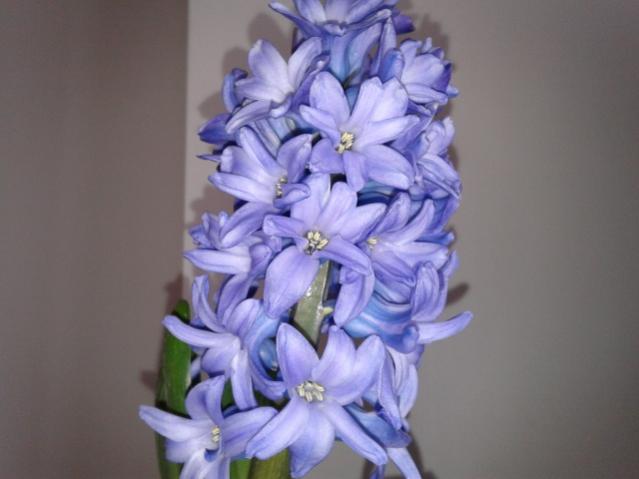Name:  20130317_090433.jpg
Views: 608
Size:  28.7 KB