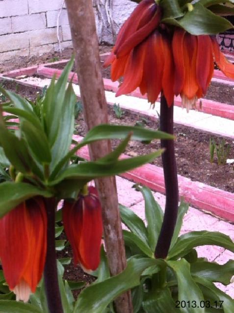 Name:  IMG_4818.jpg
Views: 836
Size:  49.8 KB