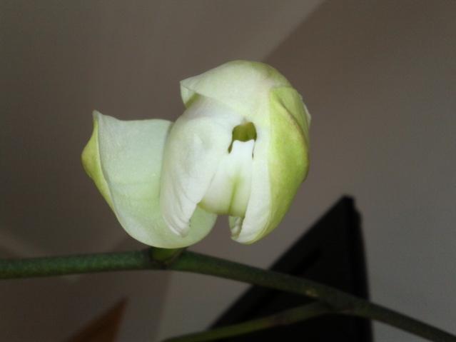 Name:  20130317_140757.jpg
Views: 726
Size:  15.5 KB
