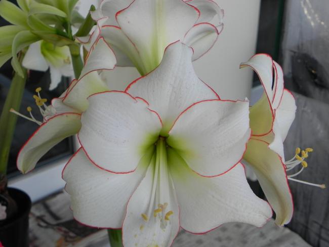 Name:  045.jpg
Views: 560
Size:  32.7 KB