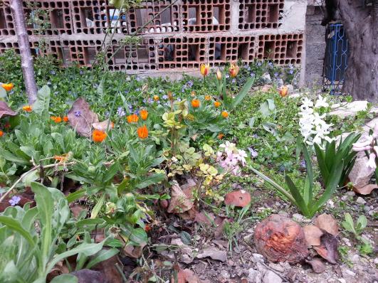 Name:  20130319_155353--.jpg
Views: 411
Size:  72.6 KB