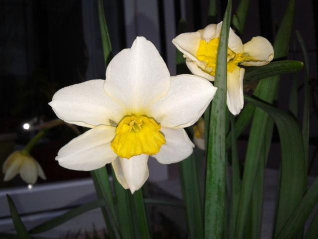 Name:  20130320_065244.jpg
Views: 715
Size:  27.1 KB