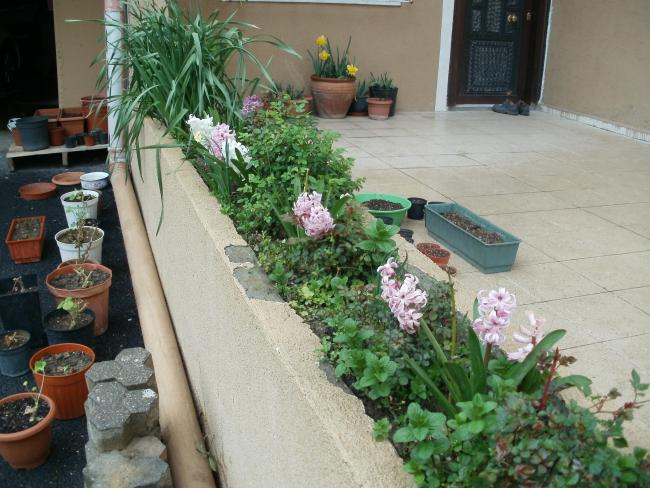 Name:  P3220108a.jpg
Views: 397
Size:  60.7 KB