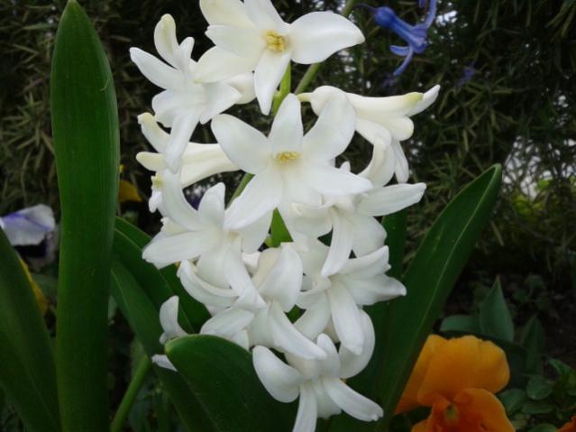 Name:  20130323_112858.jpg
Views: 570
Size:  37.2 KB