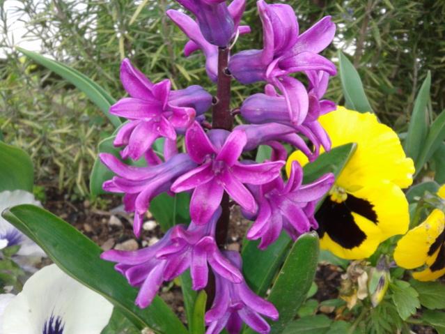 Name:  20130323_112914.jpg
Views: 610
Size:  56.1 KB
