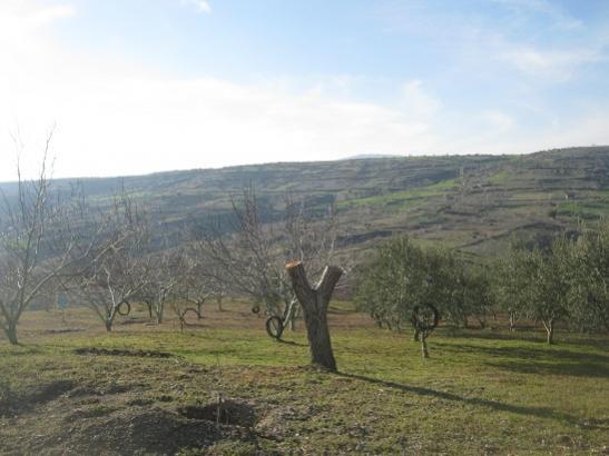Name:  genel.jpg
Views: 1438
Size:  32.4 KB