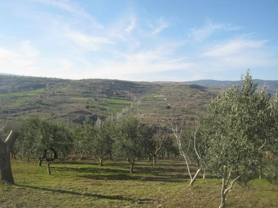 Name:  kar yamalar.jpg
Views: 1423
Size:  36.9 KB