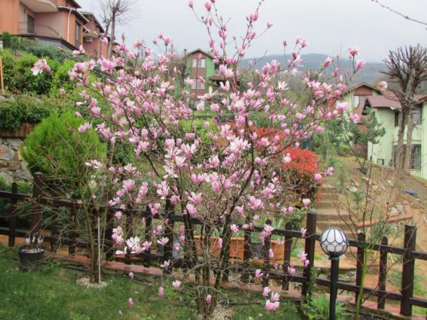 Name:  IMG_0153.jpg
Views: 473
Size:  71.4 KB