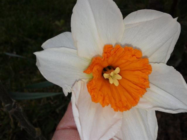 Name:  20130325_164007.jpg
Views: 526
Size:  28.1 KB