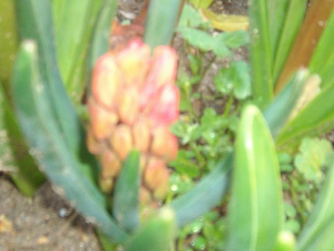 Name:  SANY0226.jpg
Views: 611
Size:  31.4 KB