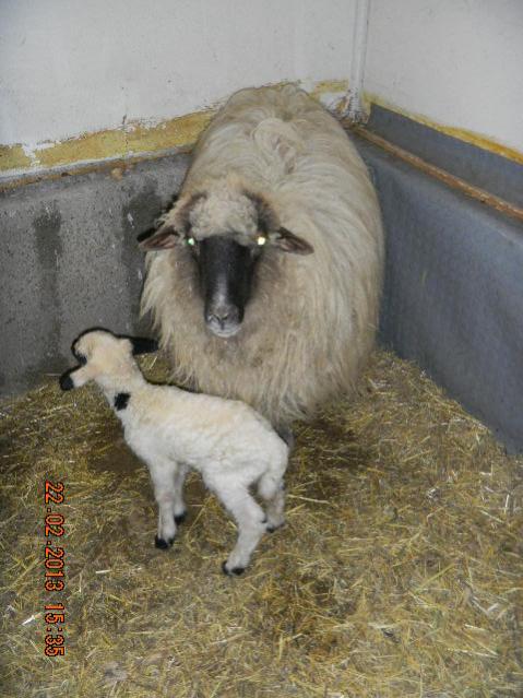Name:  014-DSCN2587.jpg
Views: 633
Size:  51.9 KB