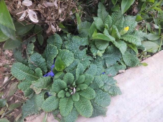 Name:  DSCF1001.jpg
Views: 377
Size:  57.1 KB