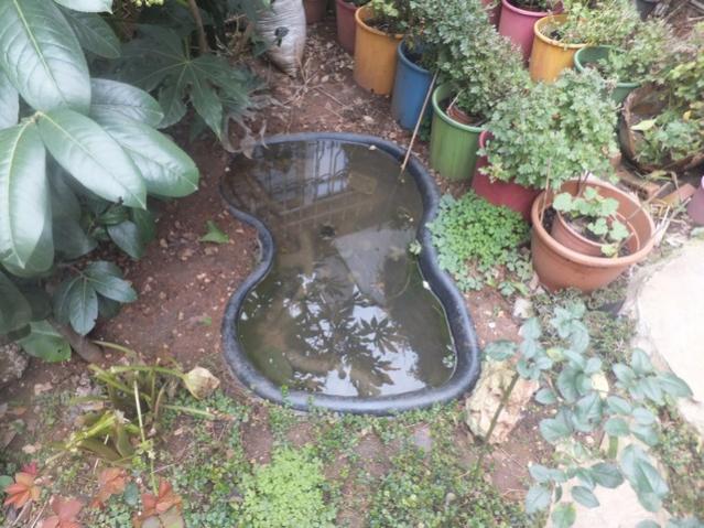 Name:  DSCF1016.jpg
Views: 341
Size:  62.6 KB