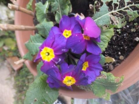 Name:  DSCF1017.jpg
Views: 354
Size:  27.4 KB