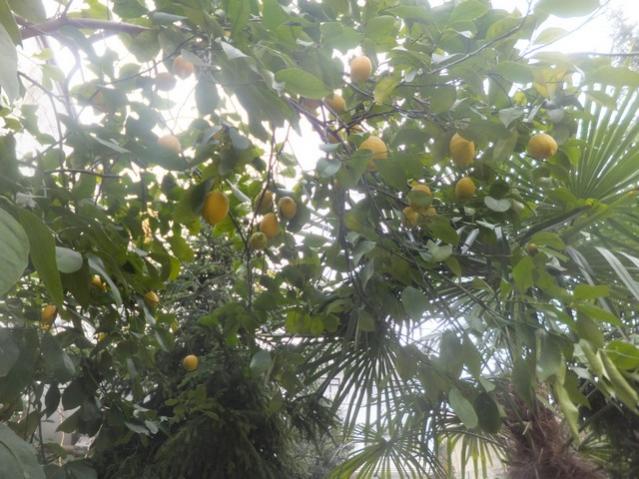 Name:  DSCF1031.jpg
Views: 367
Size:  59.2 KB