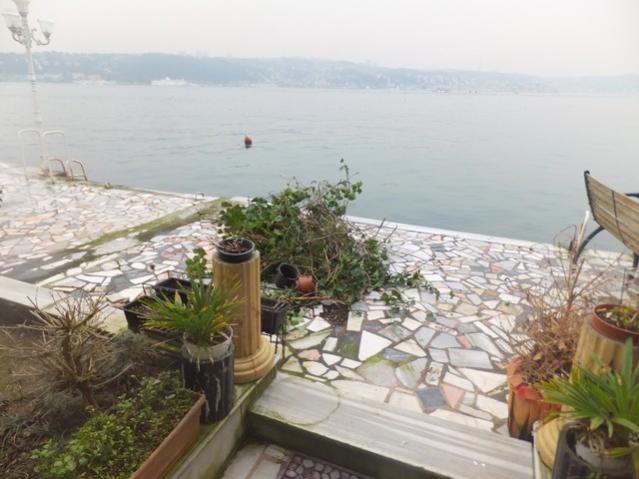 Name:  DSCF1054.jpg
Views: 357
Size:  43.9 KB