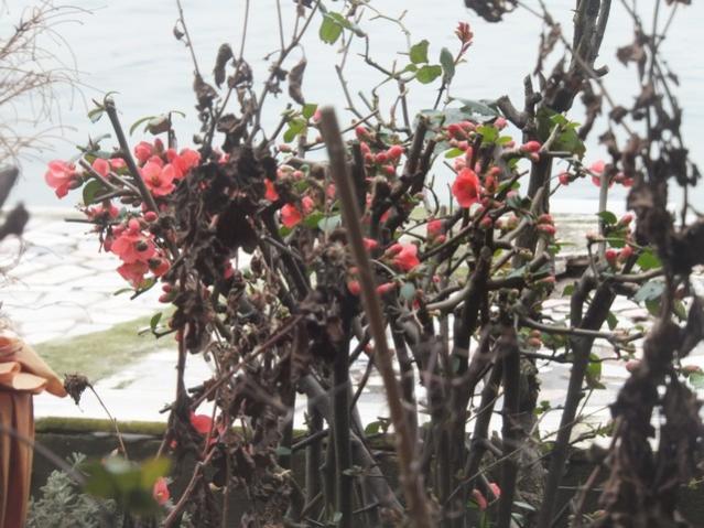 Name:  DSCF1069.jpg
Views: 348
Size:  59.7 KB