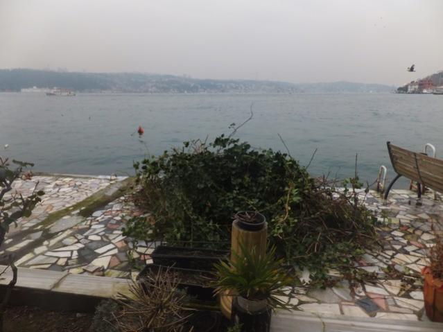 Name:  DSCF1072.jpg
Views: 366
Size:  39.0 KB