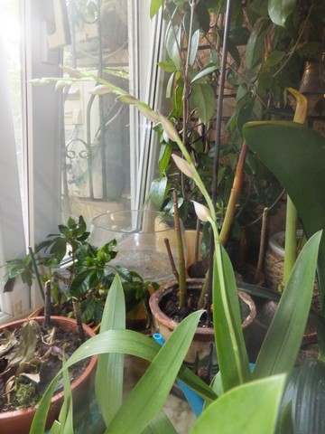 Name:  DSCF1119.jpg
Views: 445
Size:  64.6 KB