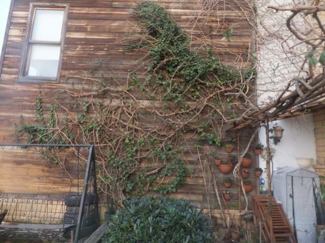 Name:  DSCF1126.jpg
Views: 752
Size:  63.9 KB