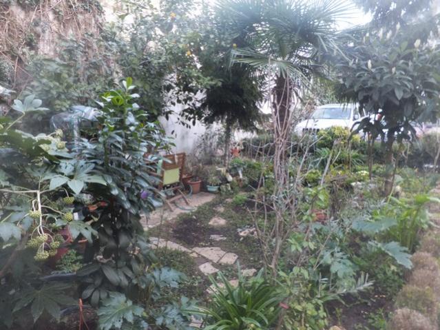 Name:  DSCF1147.jpg
Views: 430
Size:  68.5 KB