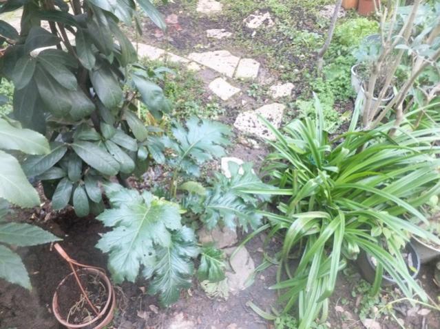 Name:  DSCF1149.jpg
Views: 446
Size:  66.3 KB