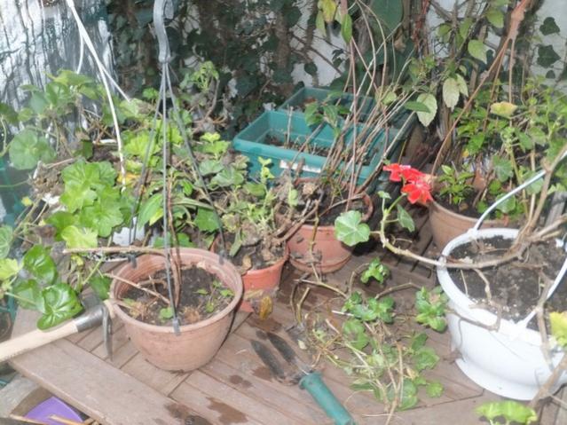 Name:  DSCF1160.jpg
Views: 515
Size:  66.5 KB