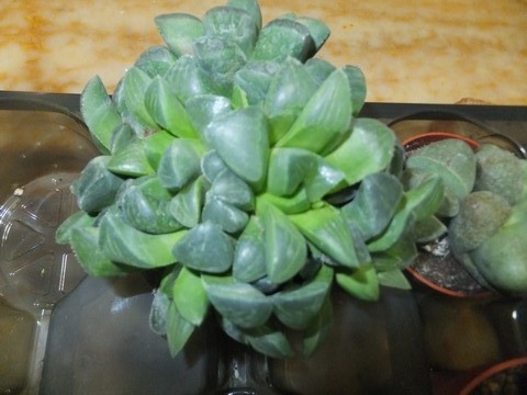 Name:  DSCF1213.jpg
Views: 408
Size:  66.0 KB