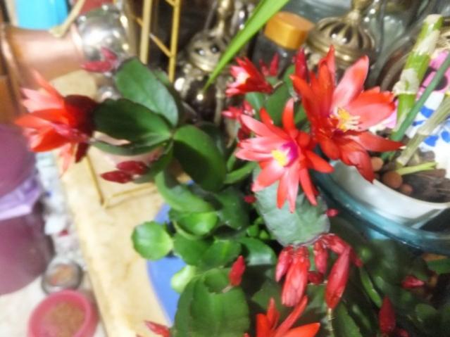 Name:  DSCF1258.jpg
Views: 394
Size:  41.9 KB