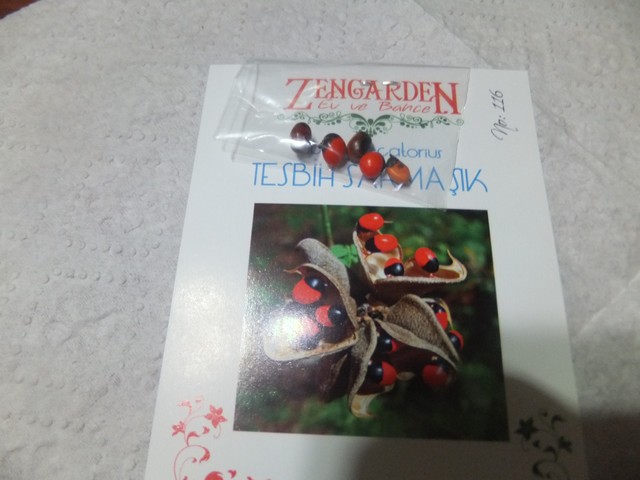 Name:  DSCF1279.jpg
Views: 426
Size:  68.3 KB