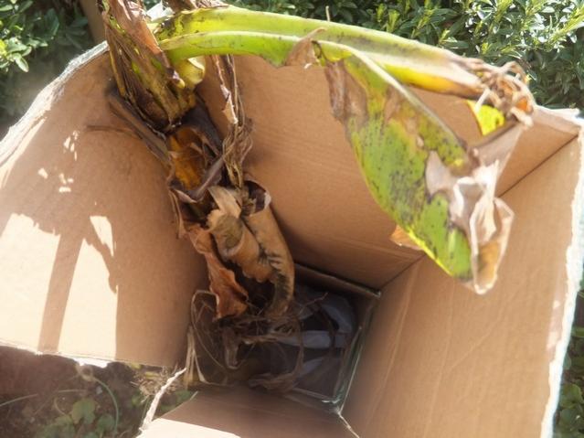 Name:  DSCF1282.jpg
Views: 400
Size:  43.7 KB