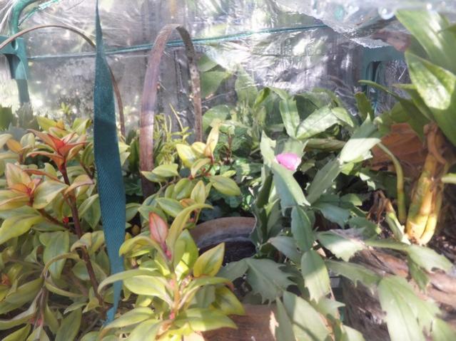 Name:  DSCF1288.jpg
Views: 392
Size:  57.3 KB