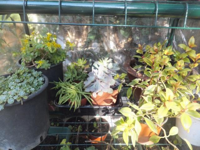 Name:  DSCF1290.jpg
Views: 375
Size:  60.1 KB