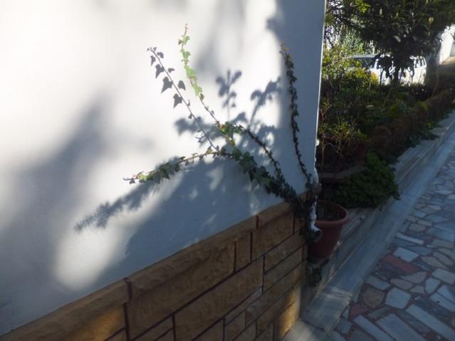 Name:  DSCF1299.jpg
Views: 369
Size:  33.4 KB