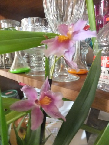 Name:  DSCF1321.jpg
Views: 375
Size:  59.3 KB