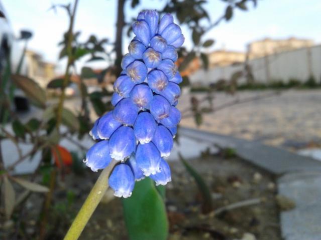 Name:  20130329_064222.jpg
Views: 521
Size:  34.8 KB