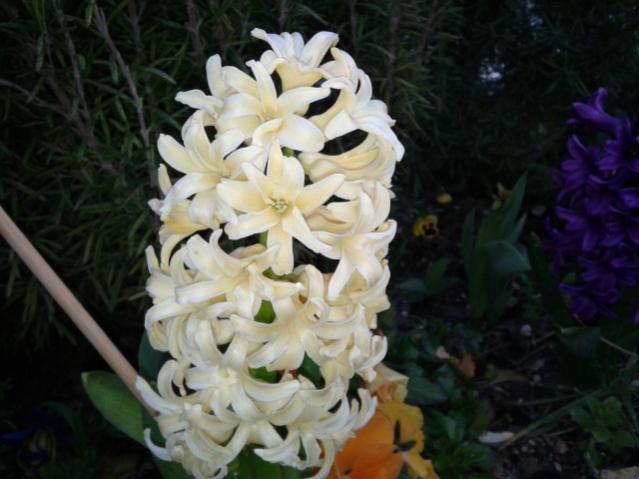 Name:  20130329_064434.jpg
Views: 480
Size:  39.9 KB
